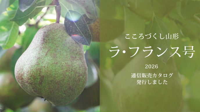 26na-catalog-sl-pc.jpg
