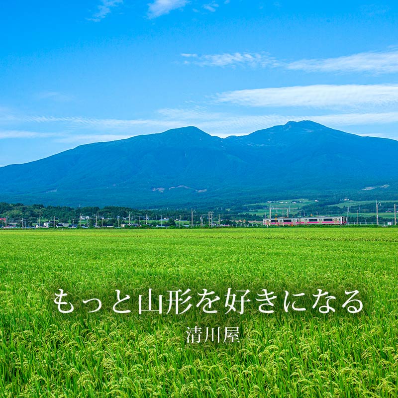 23yamagata-sl-sp-2.jpg
