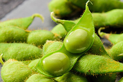 鶴岡特産だだちゃ豆