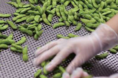 冷凍特選だだちゃ豆イメージ画像3