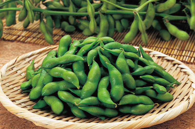 尾浦だだちゃ豆イメージ