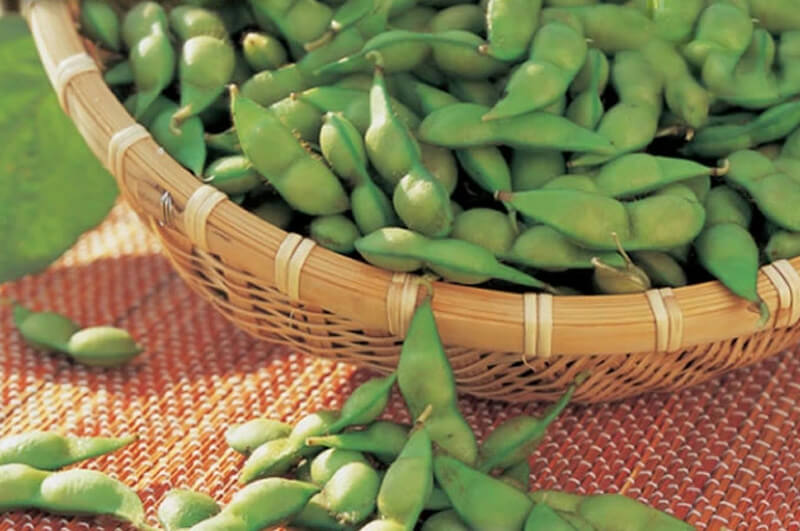 小真木だだちゃ豆イメージ