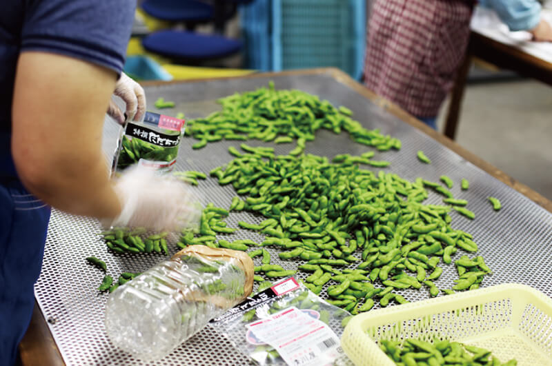 だだちゃ豆の出荷の様子