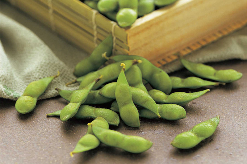 寺田村産だだちゃ豆極味_イメージ