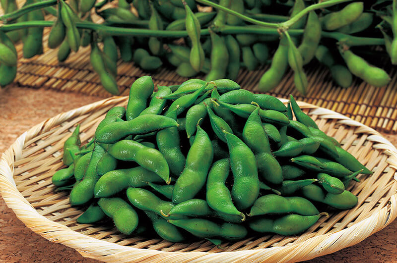 尾浦だだちゃ豆_イメージ