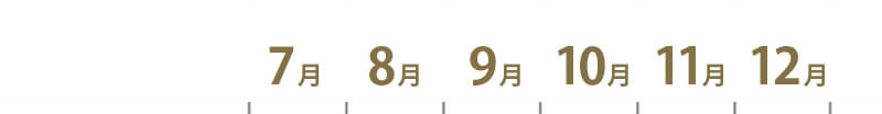 清川屋の果物・野菜のお届け時期目安カレンダー７月～１２月