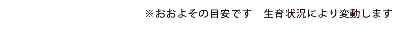 山形の果物・野菜のお届け時期目安　おおよその目安です