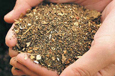 アールスメロン イメージ画像3