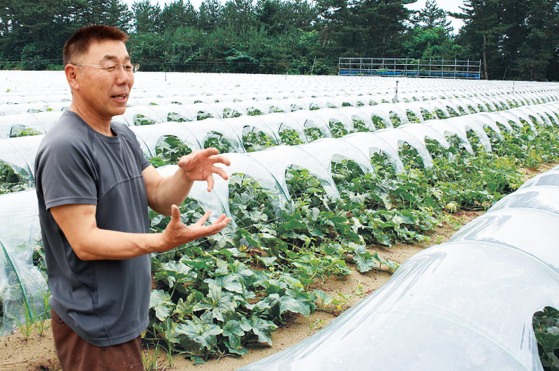 清川屋のアンデスメロン_川村洋さん