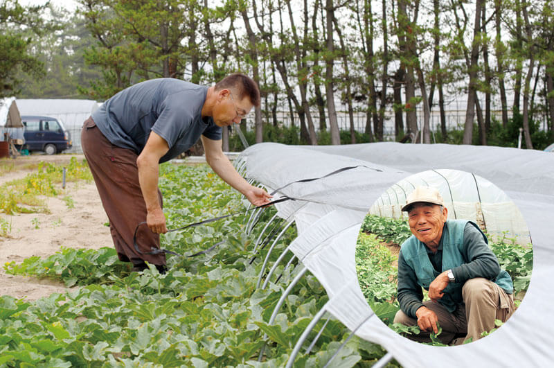 清川屋のアンデスメロン_川村茂さん