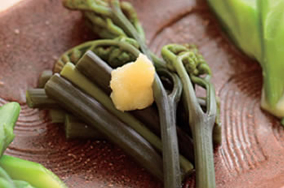 庄内山菜だよりイメージ4