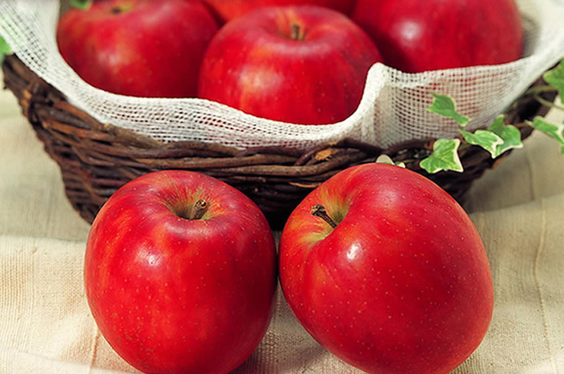 懐かしりんご～つがる～イメージ1