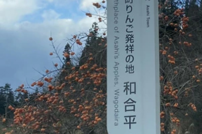 和合平産地写真"