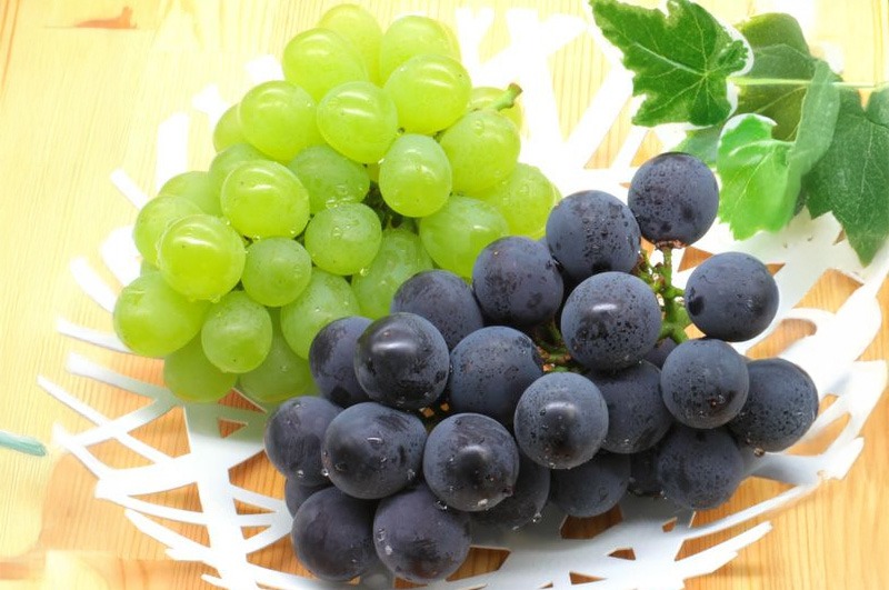 ぶどう2種イメージ