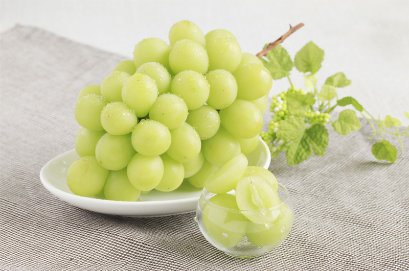 シャインマスカットイメージ画像1