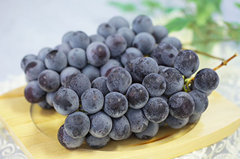 ピオーネイメージ