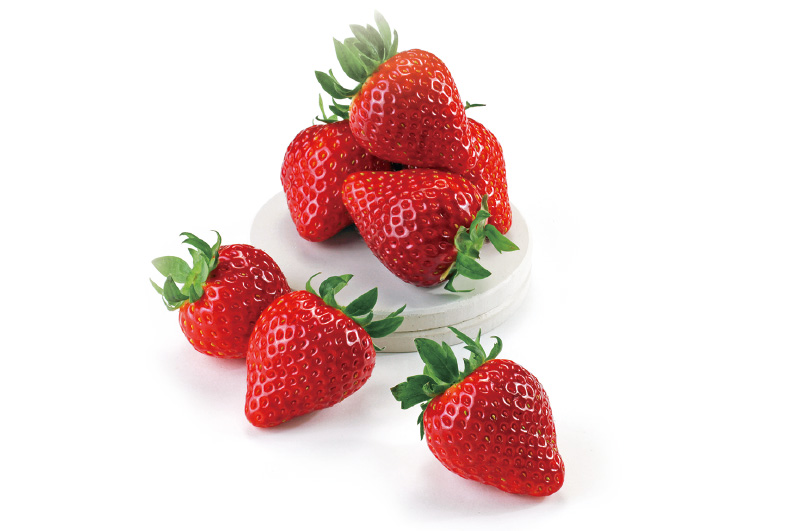 清川屋の春いちご-メイン画像