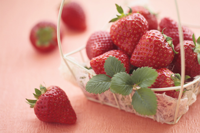 清川屋の春いちご_IMAGE