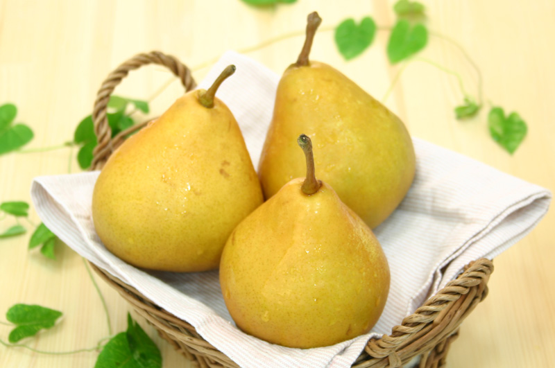 特選オーロラ_イメージ