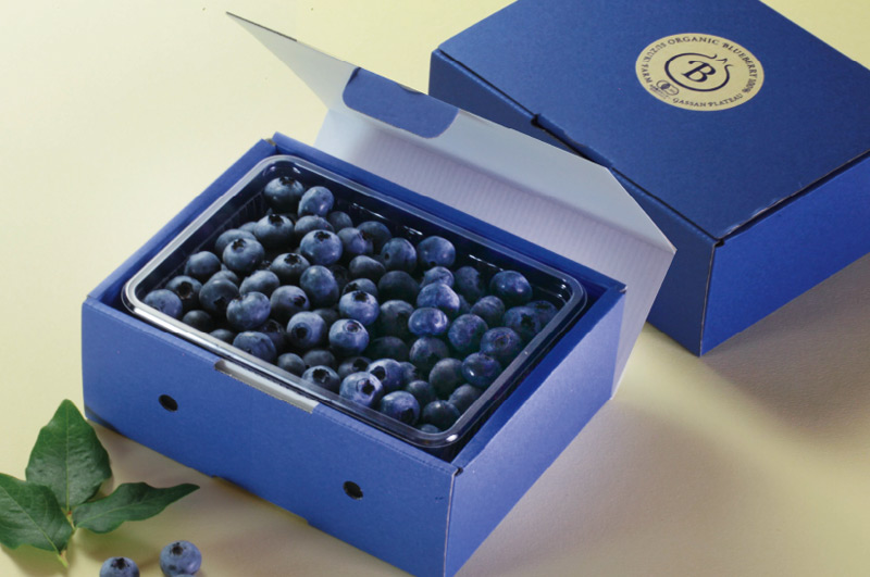 月山高原鈴木農園の大粒ブルーベリー イメージ画像1