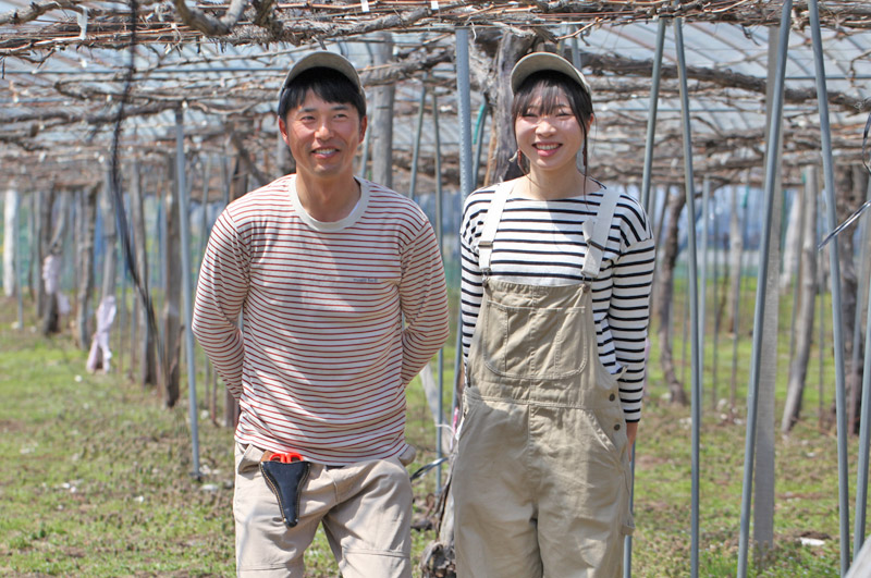 髙橋さんの完熟デラウェア-イメージ
