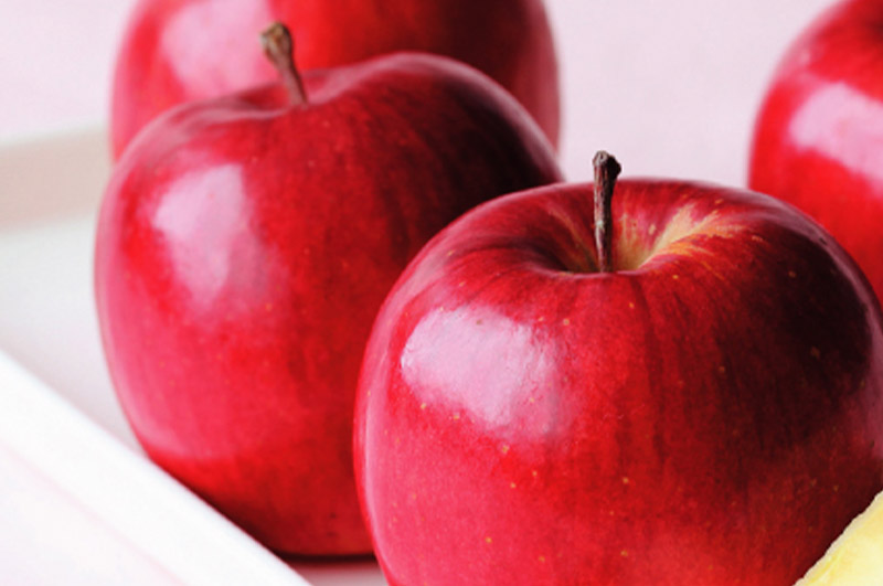 秋陽メインイメージ