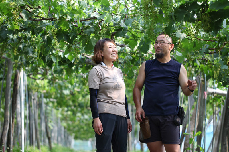 大野さんの完熟デラウェア-メインイメージ"