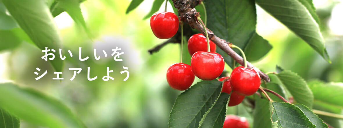 PC用横長画像 さくらんぼ