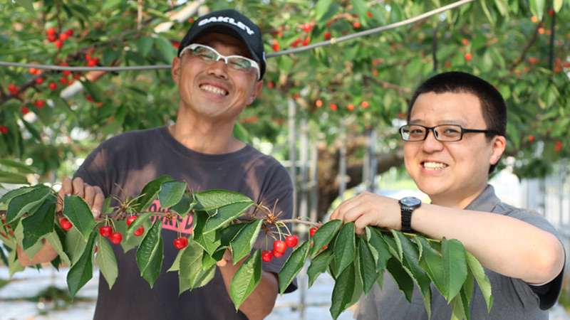 さくらんぼ農家さんと清川屋スタッフの笑顔写真