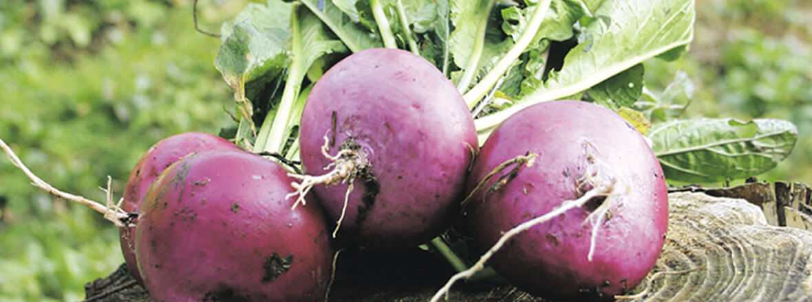 PC用野菜のおかず画像