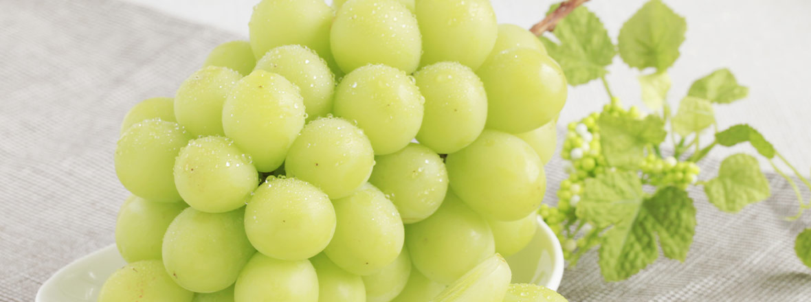 PC用ぶどう＝シャインマスカット画像