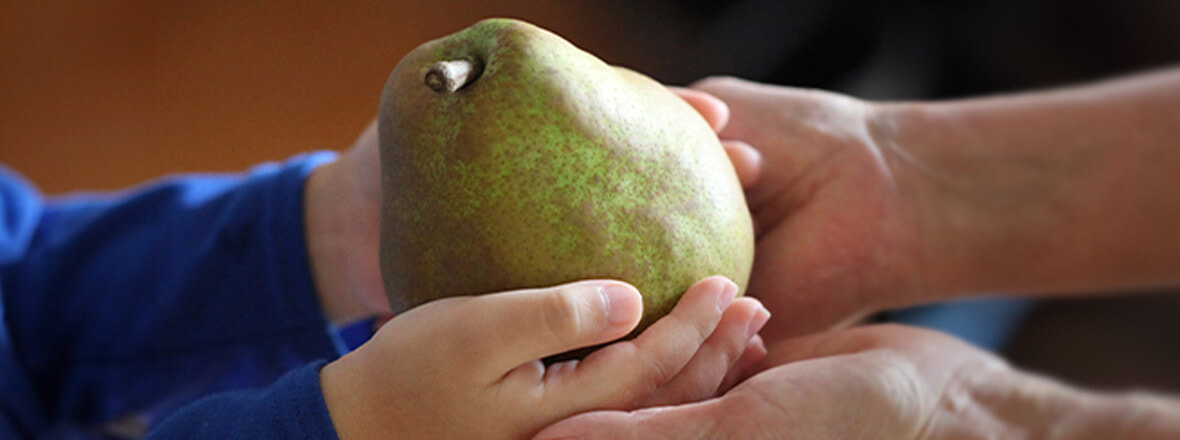 秋号カタログPC画像1180x400