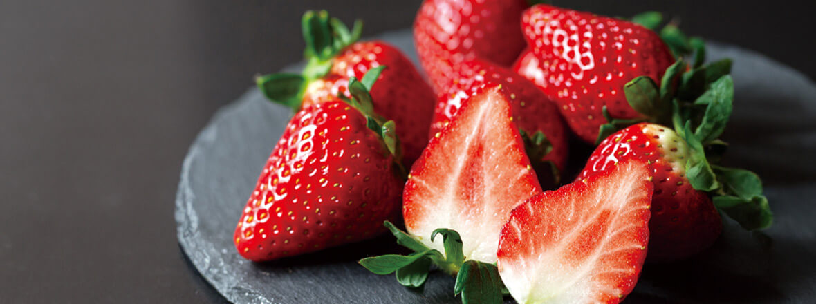 初春号カタログPC画像1180x400