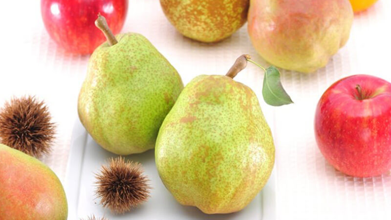 清川屋のギフトイメージ写真