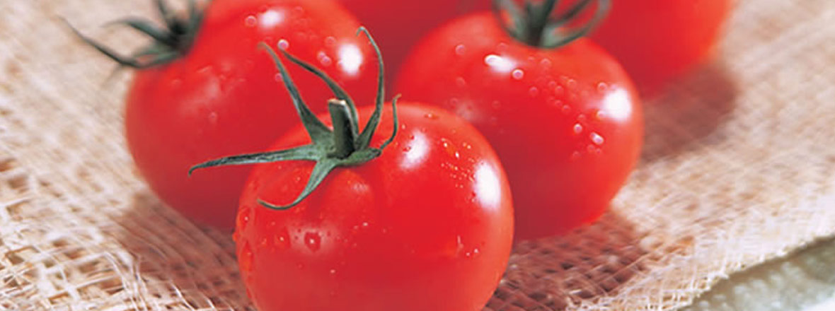 PC用トマト画像