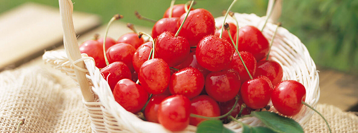 PC用横長画像1180x400