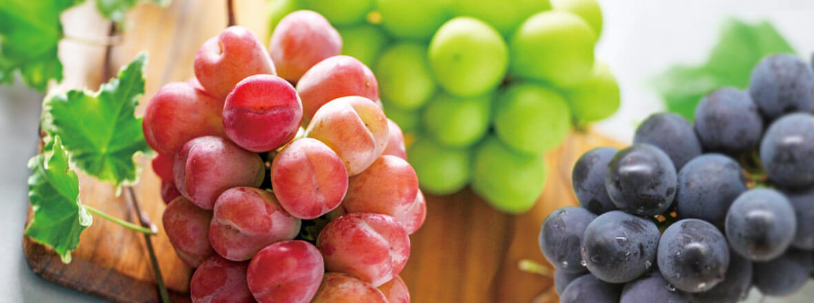 PC用ぶどう画像