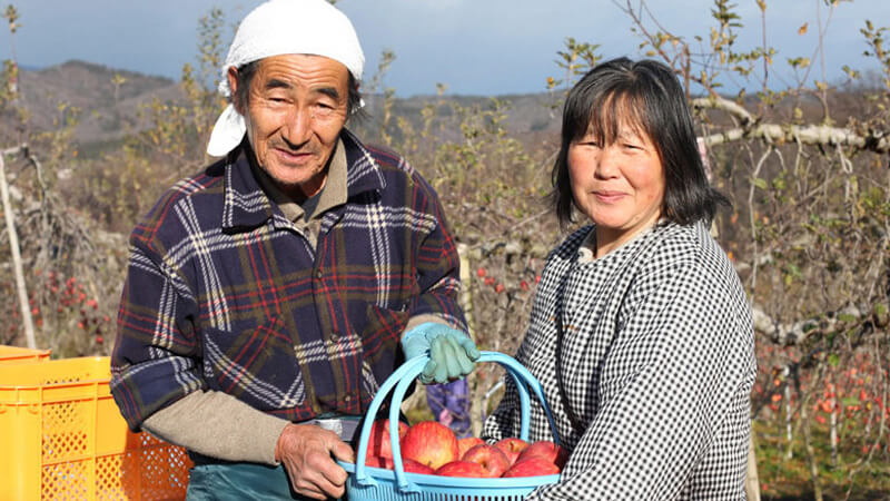 りんご農家さんの写真
