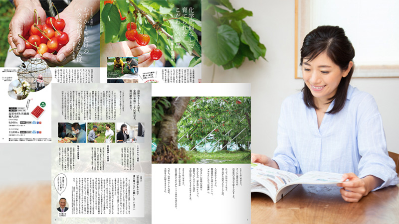 赤と黄色の美味しそうなさくらんぼのイメージ