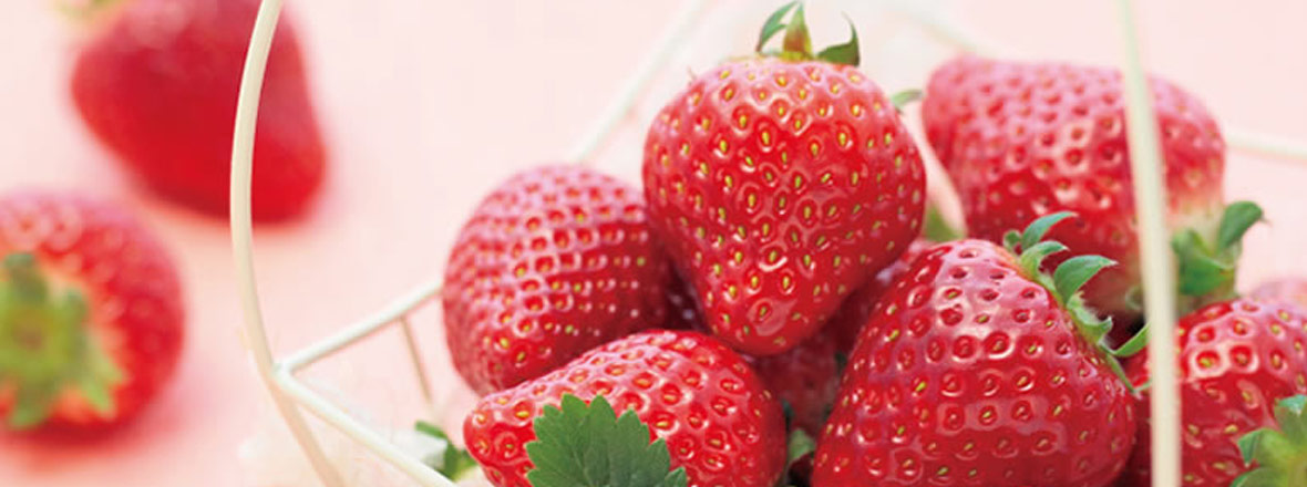 PC用横長画像1180x400