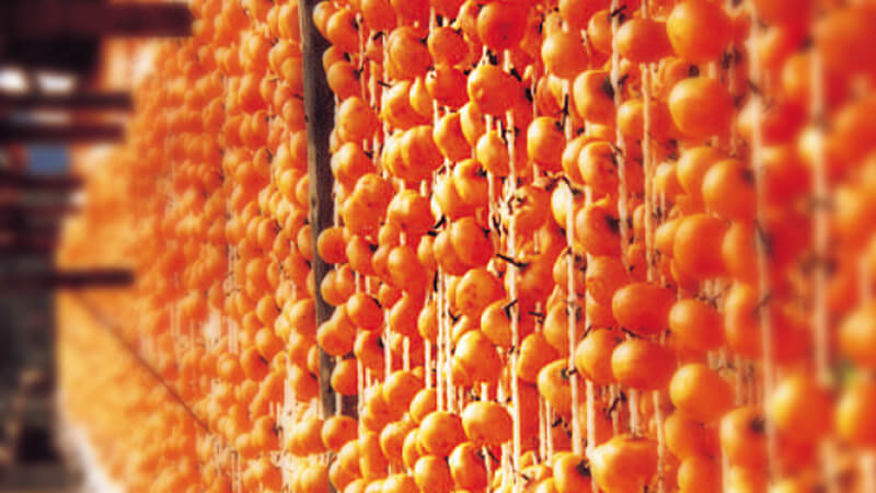 紅柿のイメージ