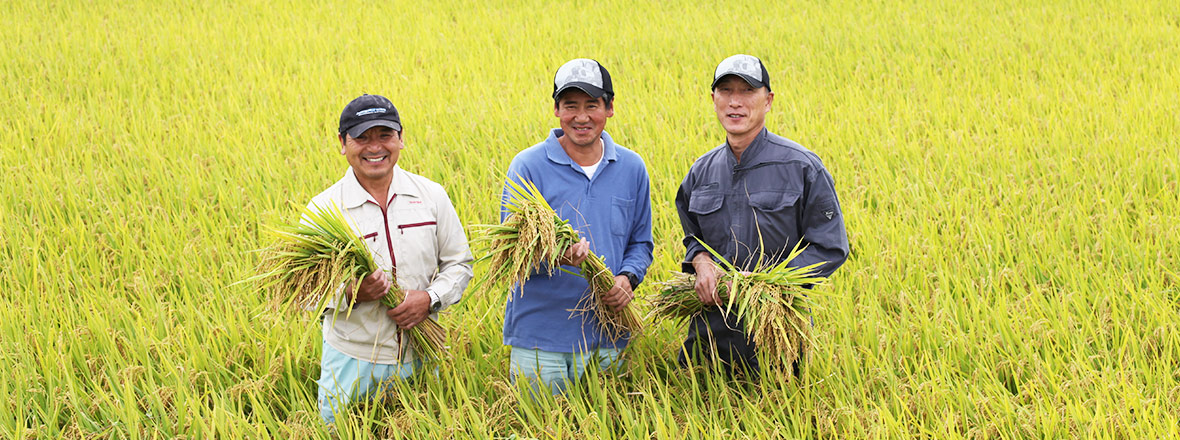 PC用伝説の庄内米画像