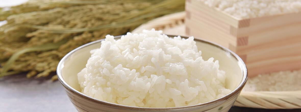 PC用米・ごはん画像