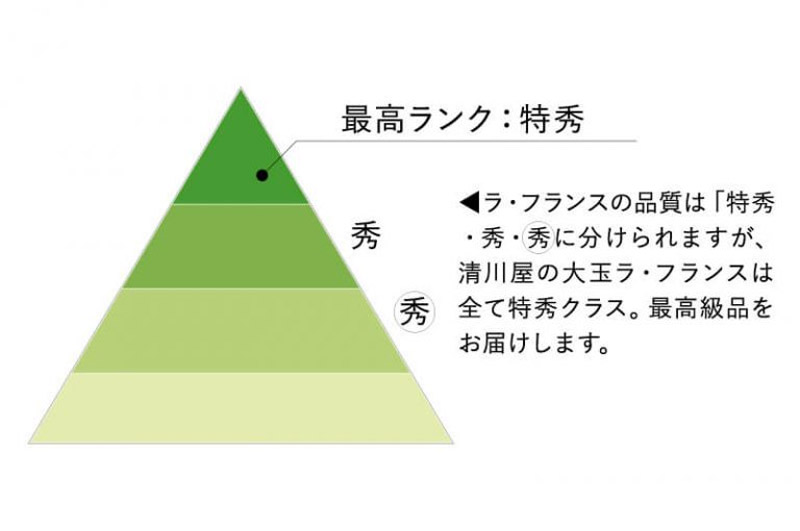 清川屋のラフランスはすべて特秀クラスです