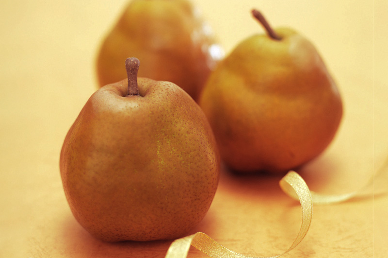 ゴールドラフランスイメージ