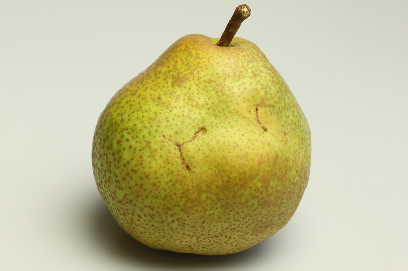 訳あり大玉ラ・フランス_表面には傷やスレ、へこみなどがあります