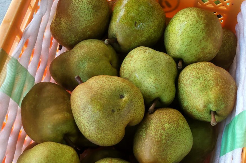 訳あり大玉ラ・フランス_優品にランクされる商品です