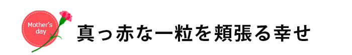 母の日さくらんぼ