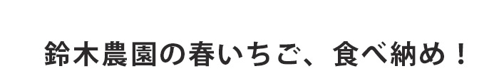 春いちご