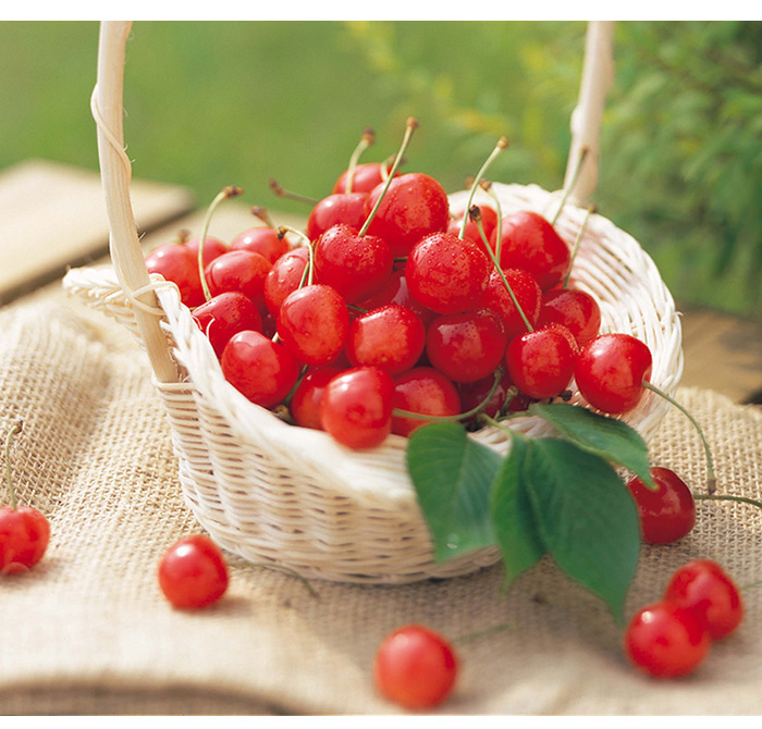 山形さくらんぼ 佐藤錦